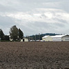 4B Farms, Inc.
