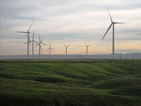 Part of Madison Farms' wind energy project.