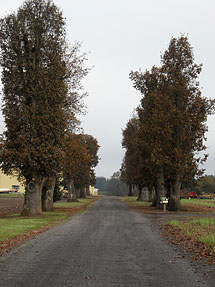 View down the driveway to the Oak Lane Farms shops